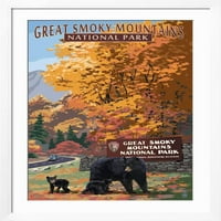 Ulaz u park i medvjed porodice Velike dimljene planine Nacionalni park, TN, životinje uramljene umjetnosti