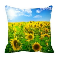 Prekrasan pejzažni suncokret oblačno oblačno plavo nebo jastuk jastuk jastuk za zaštitu jastuk dvije
