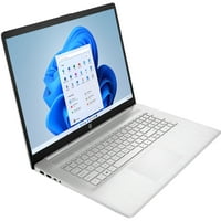 17Z-CP Laptop Home & Business Laptop, AMD Radeon, 64GB RAM, 512GB m. SATA SSD + 2TB HDD, WiFi, USB 3.2,