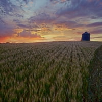 Izlazak sunca preko ječmenog polja sa silosom zrna u Central Alberta Poster Print