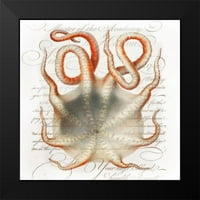 Hunziker, Steve Crni moderni uokvireni muzej umjetnički print naslovljen - hobotnica III
