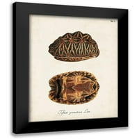 Nepoznati crni moderni uokvireni muzej umjetnički print pod nazivom - antikne kornjače i školjke I