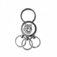 Mačka ljudska boja Oko Oko od nehrđajućeg čelika metalna prstena za ključeve ključeva za ključeve ključeva