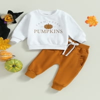 Bagilaanoe Toddler Baby Boy Halloween Outfits Pundkin Print dugih rukava dukserice + duks 3T Dečije