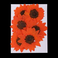 Sušeni cvijet za nakit za izradu DIY Ornament Orange