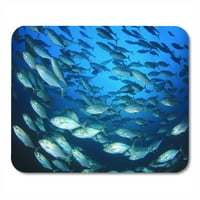 Plava bluefin tuna riba podvodnu srebrnu školu Mediteranska morska hrana mousePad pad mouse Mouse mat