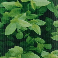 Walmeck Vrtni ekran PVC 114.8'x0.6 'zeleno