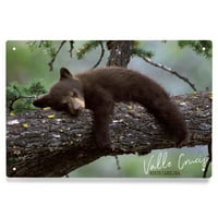 Valle Crucis, Sjeverna Karolina, medvjed mladunče Spavanje