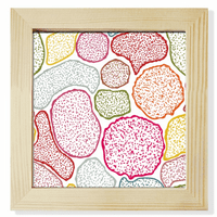 Šareni mikroskopski ćelije Struktura Biološki kvadratni okvir Zidni tablici
