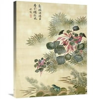 u. Vodeni kaktrios i žaba Art Print - ma yuanyu