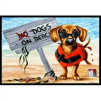 Carolines blaga pas na plaži jazavčarstvo u zatvorenom ili vanjskom prostirku, 27