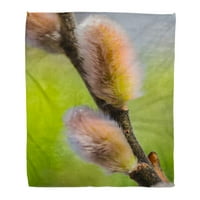 Flannel baca pokrivačica pussy willow pussycat cotkins klasični početak proljetnog meka za kauč za krevet