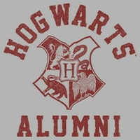 Muškarci Harry Potter Hogwarts Alumni povlače sa hoodie athletic Heather Male
