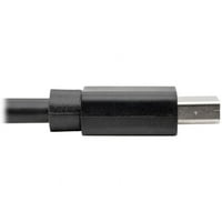 Tripp Lite P586-003-HDMI 3FT Mini DisplayPort do HDMI Converter kabela, crna