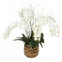Direktni dizajn Unizne krem ​​bijele falaenopsisne orhideje u zlatnom sadnjaku