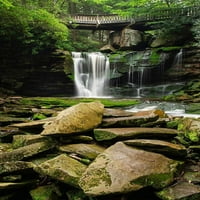 Prvi ili Gornji Ekalaka Falls-Blackwater Falls State Park-West Virginia od Alana Majchrowicza