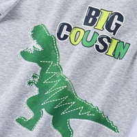 Dinosaur Big rođak majica Dinosaur rođendan rođendanska košulja za Toddler Boys rođak rođendana za rođendan,
