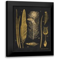 Babbitt, Gwendolyn Crni moderni uokvireni muzej Art Print pod nazivom - Zlatno perje I