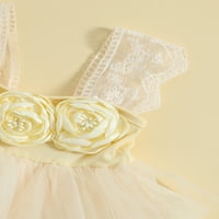 Toddler Baby Girls Princess Haljina 3D cvjetne trake za čipke bez rukava slatko slojevita Tutu Tutu