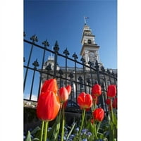 Crveni tulipani i komunalna komora Sat Tower Octagon South Island Novi Zeland Print David Wall