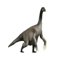 Therizinosaurus je veliki terapod dinosaurus iz kasnog krednog postera