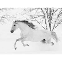 Walker, Carol Crni moderni uokvireni muzej umjetnički print pod nazivom - trčanje u snegu