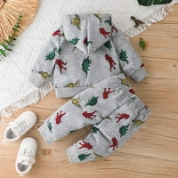 Baby Boys Dinosaur dugih rukava duge na vrhu duks hlača Zimska odjeća set 12- mjeseci