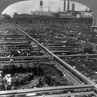 Goveška industrija, C1926. NCATLESA u sindikalni dvorišti u Čikagu, Illinois. Stereograf, C1926. Poster