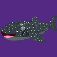 Slatka kitova morskog psa Sretna crtana ilustracija Ženska ljubičasta heather grafički trkački trkački