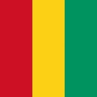 H Nacionalna zastava Gvineja Gvineja Flag Noge Bunting za morsku industrijsku upotrebu