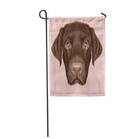 Brown Black Labrador Retriver portret čokolade na ružičastim crtanjem vrtna zastava ukrasna zastava