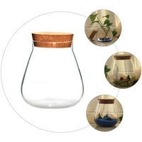 Staklena kornjača Terrarium Jar boce Dekorativni poklopci Skladištenje posude za posude postrojenje