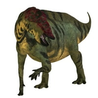 Pogled s prednjeg dijela shuangmiaosaurus dinosaurus. Poster Print Corey Ford Stocktrek Images