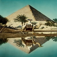 Piramide. Vozač piramide i kamile reflektirani u posteru za preljevu Nila Ispis
