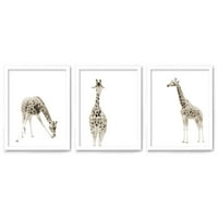AmericanFlat Triptich Wall Art Minimalistički žirafe po zidu + čudo - set bijelih uokvirenih otisaka