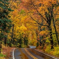 Autoput natkrivena cestom u jesen u blizini bakrene luke u gornjem poluotoku Michiganu, USA Poster Print